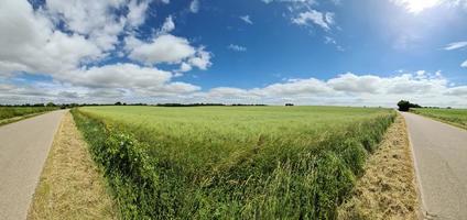 panorama de un paisaje rural del norte de Europa con calles, campos y hierba verde. foto