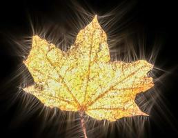 Kirlian glowing photography of beautiful autumn leaves showing a high amout of energy photo