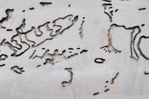 Detailed view on aged concrete walls with cracks and a lot of structure in high resolution photo