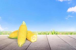 maíz en el suelo de madera hay un campo de maíz y un cielo al fondo. foto