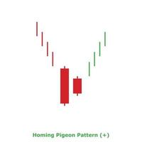 Homing Pigeon Pattern - Green and Red - Square vector