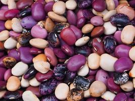 Close up dried colorful kidney beans as background photo