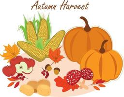 Autumn vector autumn harvest set