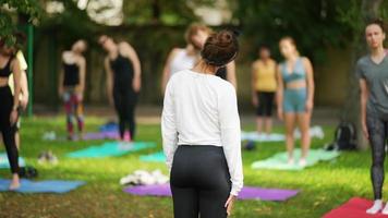 gruppo di persone fare yoga insieme nel un' parco video