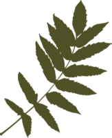 Leaves stamp imprint PNG