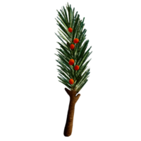 Pine Branches Watercolor Illustration png