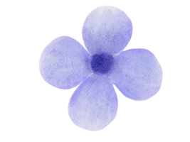 blomma vattenfärg illustration png