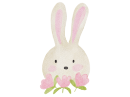 ilustración acuarela de conejo png