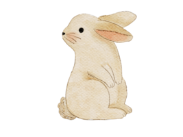 ilustração em aquarela de coelho png