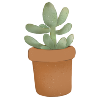 Flowerpot Crayon Illustration png