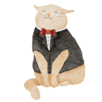 katt vattenfärg illustration png