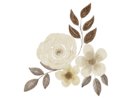 illustrazione dell'acquerello dei fiori png