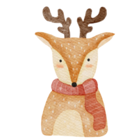Reindeer Watercolor Illustration png