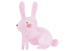 ilustración acuarela de conejo png