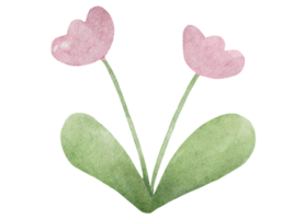 blommor akvarell illustration png