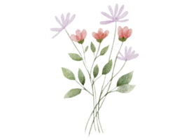 Bouquet Watercolor Illustration png