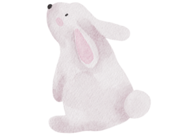 ilustración acuarela de conejo png