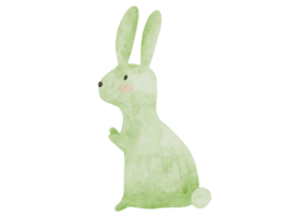 Rabbit Watercolor Illustration png