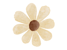 floreale acquerello illustrazione png