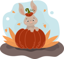 lindo conejito sentado en una calabaza, feliz halloween. ilustración de cartel de otoño png
