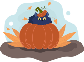 lindo gato negro en una calabaza de halloween. ilustración de cartel de otoño png