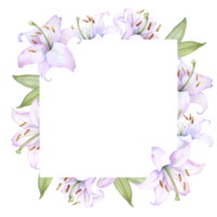 Square l frame with white and pink lily flowers, watercolor illustration, for decorating wedding invitations, albums, and posters png