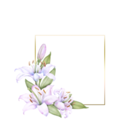 Square gold metal frame with white and pink lily flowers, watercolor illustration, for decorating wedding invitations, albums, and posters png