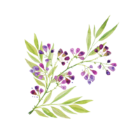 una rama de hermosas flores moradas delicadas con hojas. dibujo a mano para tarjetas de felicitación, saludos, impresión. png