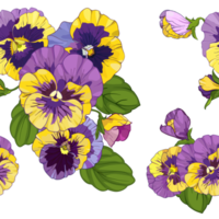 pansies floral seamless pattern png