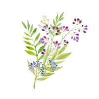 una rama de hermosas flores moradas delicadas con hojas. dibujo a mano para tarjetas de felicitación, saludos, impresión. png