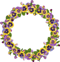 round frame with pansy flowers, wreath viola, yellow and purple flowers green leaves ornament png