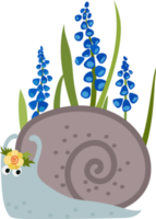 garden snail with blue muscari flowers, spring illustration cartoon style png