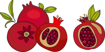 roter Granatapfel. Granatapfel schneiden. Reife Granatapfelfrucht mit Blattvektorillustration. isolierter weißer Hintergrund png