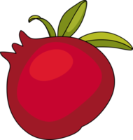 rood granaatappel. snijdend granaatappel. rijp granaatappel fruit waarmee blad vector illustratie. geïsoleerd wit achtergrond png