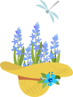 chapeau d'été avec fleurs, jacinthes bleues et libellule, illustration sur le thème du jardinage png