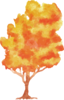 árvore de outono em aquarela png