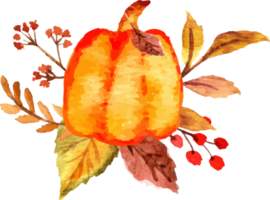 watercolor pumpkin with flower png
