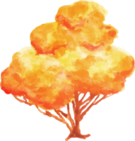 watercolor autumn tree png