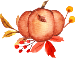 watercolor pumpkin with flower png