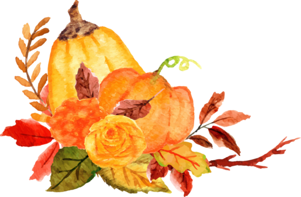 watercolor pumpkin with flower 13166425 PNG