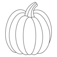 Pumpkin. Delicious vegetable. Sketch. Vegan food. Harvesting. Seasonal organic product. vector
