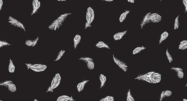 Feathers. Hand drawn sketch style. vector