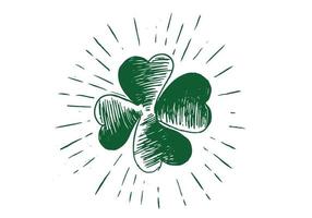 Patrick day. Clover, hand drawn illustration. vector