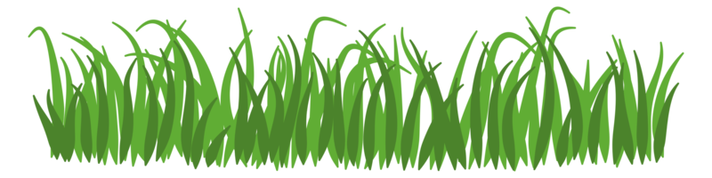 illustration av grön gräs png