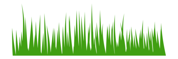 illustration of green grass png