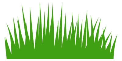 illustratie van groen gras png