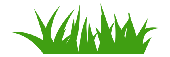 illustrazione di verde erba png