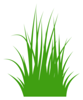 illustration de l'herbe verte png