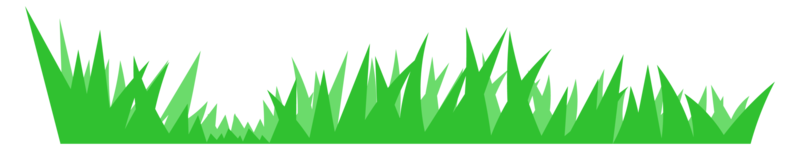 illustrazione di verde erba png