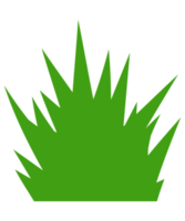 illustration de l'herbe verte png